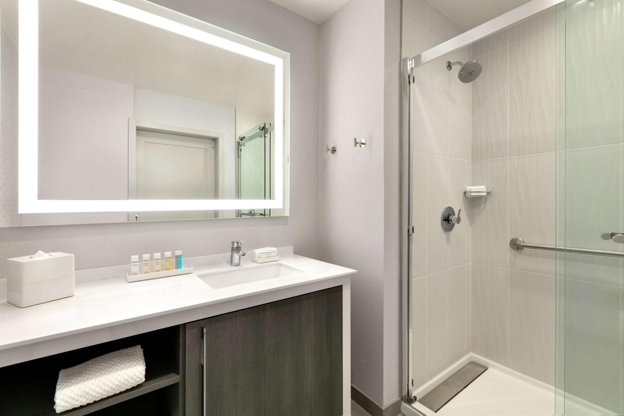 Embassy Suites By Hilton Atlanta Midtown מראה חיצוני תמונה