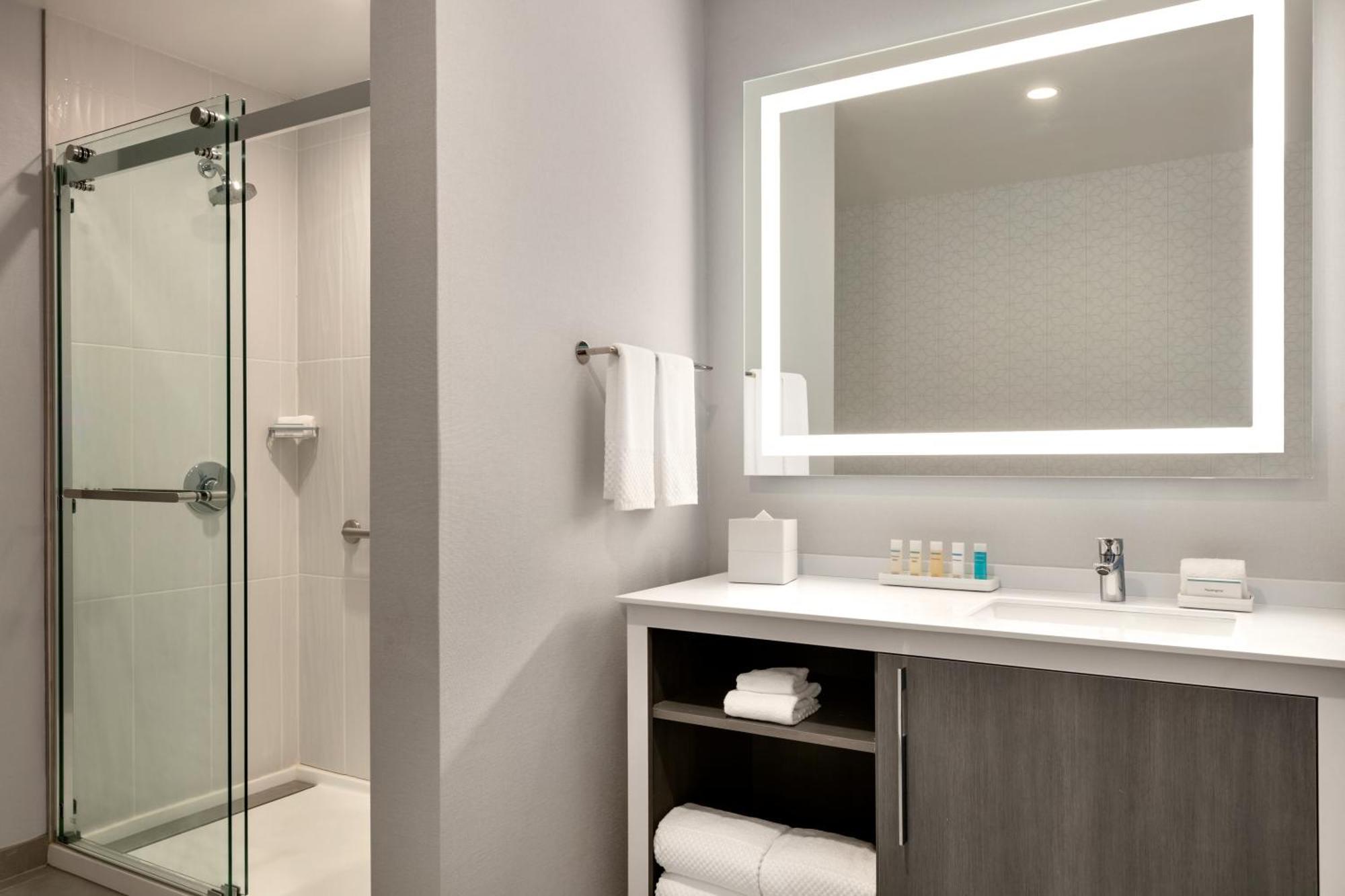 Embassy Suites By Hilton Atlanta Midtown מראה חיצוני תמונה